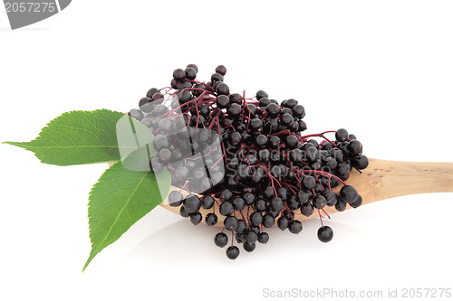 Image of Elderberry Fruit