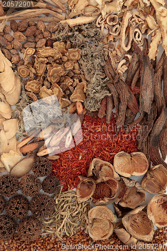 Image of Chinese Herbal Medicine