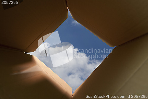Image of Thinking Outside The Box Concept