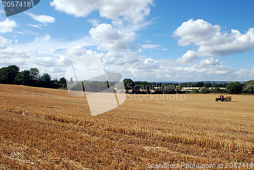 Image of Barley field after harvest time