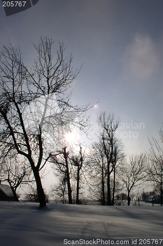 Image of Winter landscape