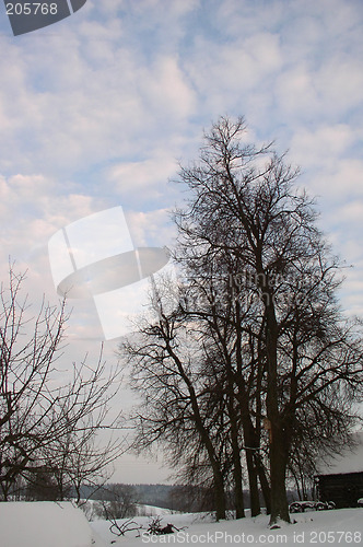 Image of Winter landscape