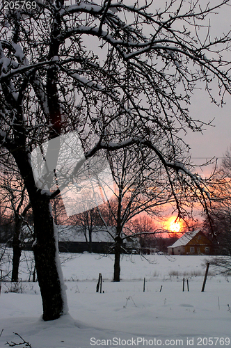 Image of Winter landscape