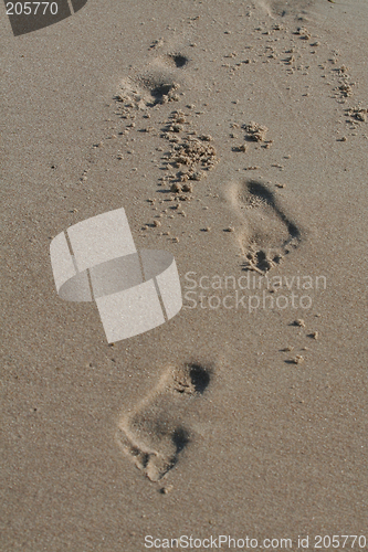 Image of Footprints