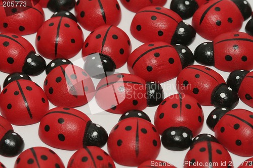 Image of Ladybugs