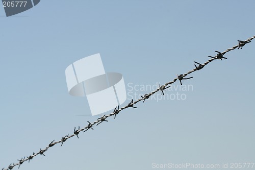 Image of Barbed wire