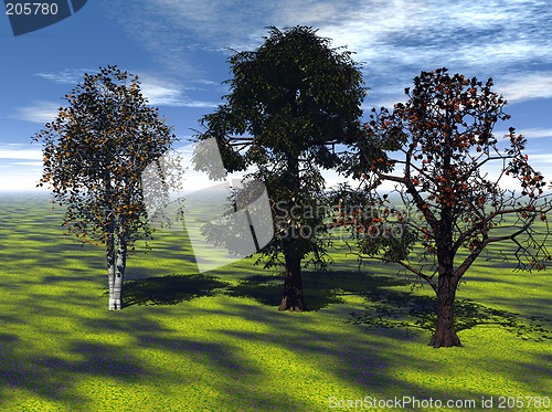 Image of Sunny meadow