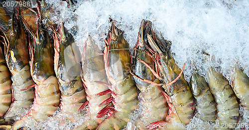 Image of tiger prawns