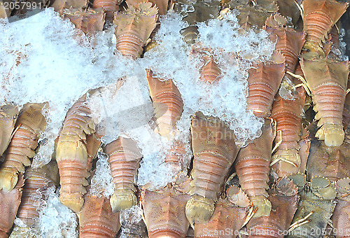 Image of seafood