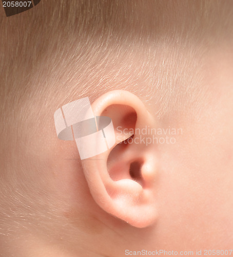 Image of baby ear