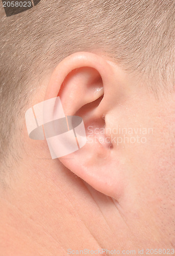 Image of male ear