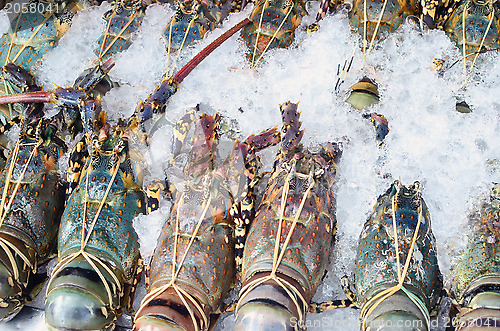 Image of lobsters