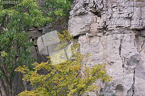 Image of Rocks along Niagara river, Ontario Canada