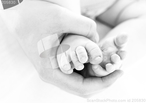 Image of baby feet