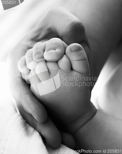 Image of baby feet