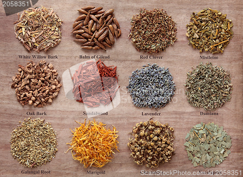 Image of  Magical and Medicinal Herbs