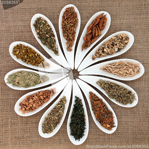 Image of Magical and Mediicinal Herbs