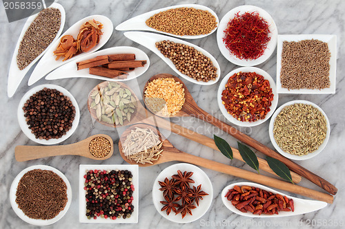 Image of Herbs and Spices