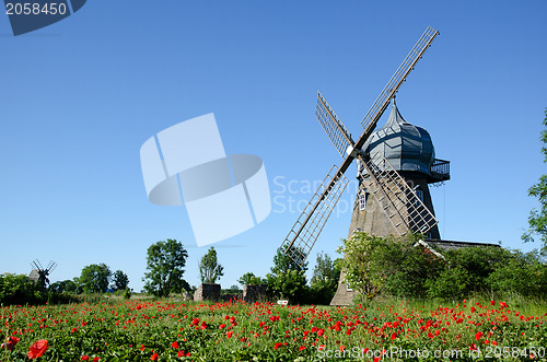 Image of Windmill with poppy