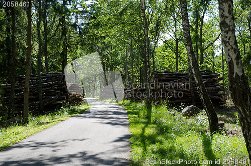 Image of Timber at road