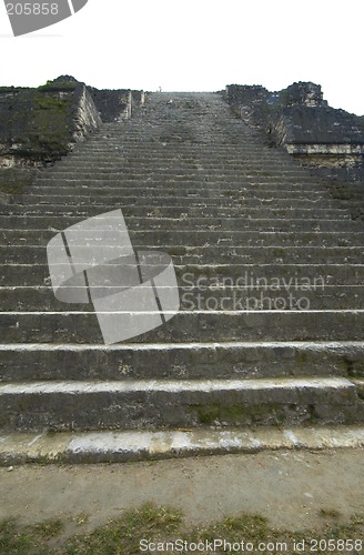 Image of temple IV tikal