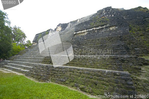 Image of temple IV tikal