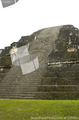 Image of temple IV tikal