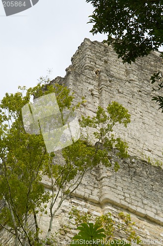 Image of temple tikal guatemala