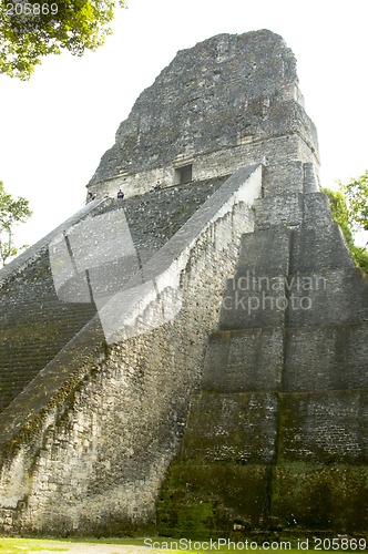 Image of temple V tikal