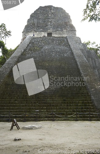 Image of temple V tikal