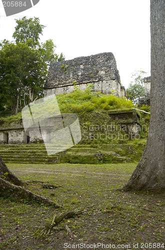 Image of overgrown mayan ruins