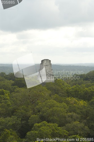 Image of temple III tikal