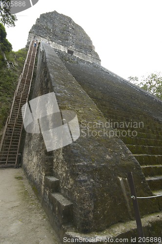 Image of temple V tikal