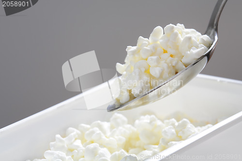 Image of Cottage Cheese