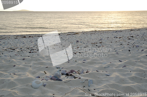 Image of Beach