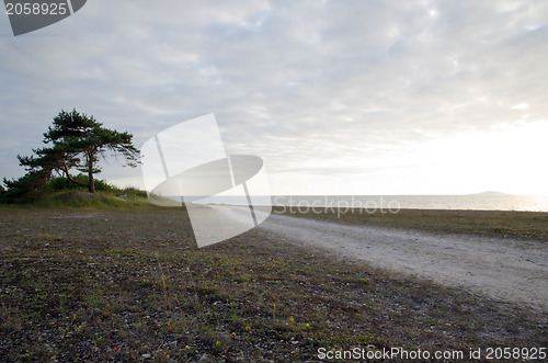 Image of Road to beach