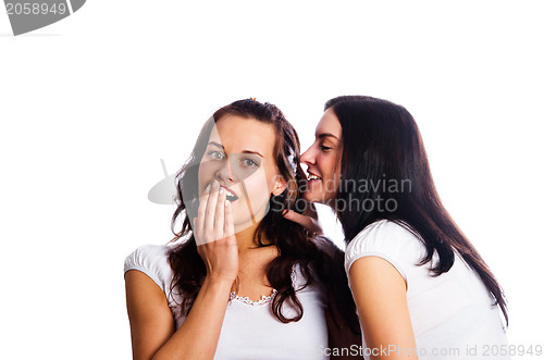 Image of Two young beautiful women are secretive is isolated on white