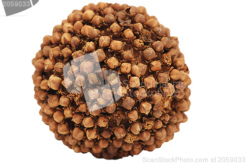 Image of Fragrant clove and orange pomander
