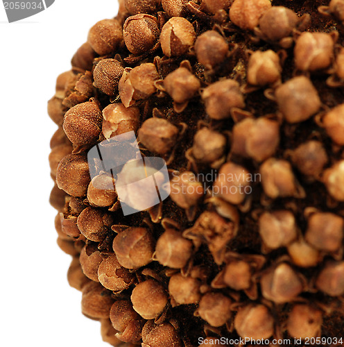 Image of Closeup detail of clove and orange pomander