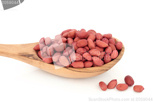 Image of Redskin Peanuts