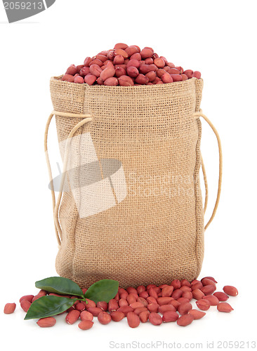 Image of Redskin Peanuts