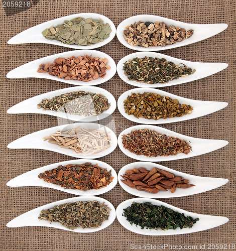 Image of Magical and Mediicinal Herbs  