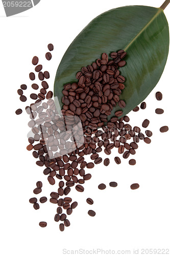 Image of Coffee Beans