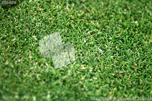 Image of grass pattern