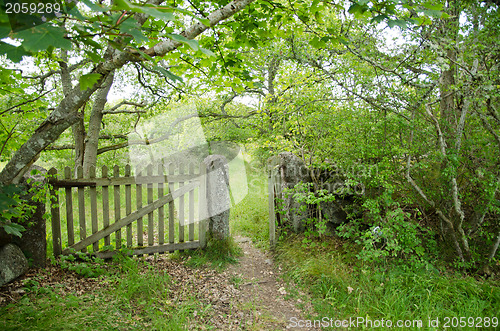 Image of Old wooden gate