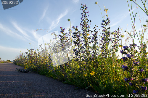 Image of Road side