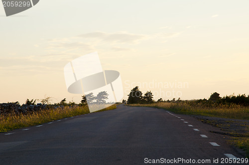 Image of Road in evening