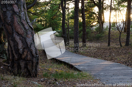 Image of Beach path