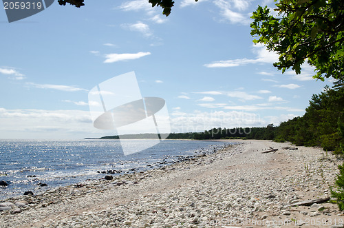 Image of coast