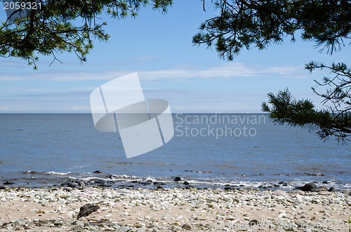 Image of Summer view